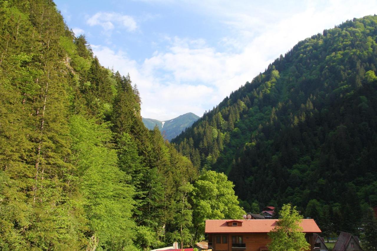Kilpa Hotel Uzungöl Exteriör bild